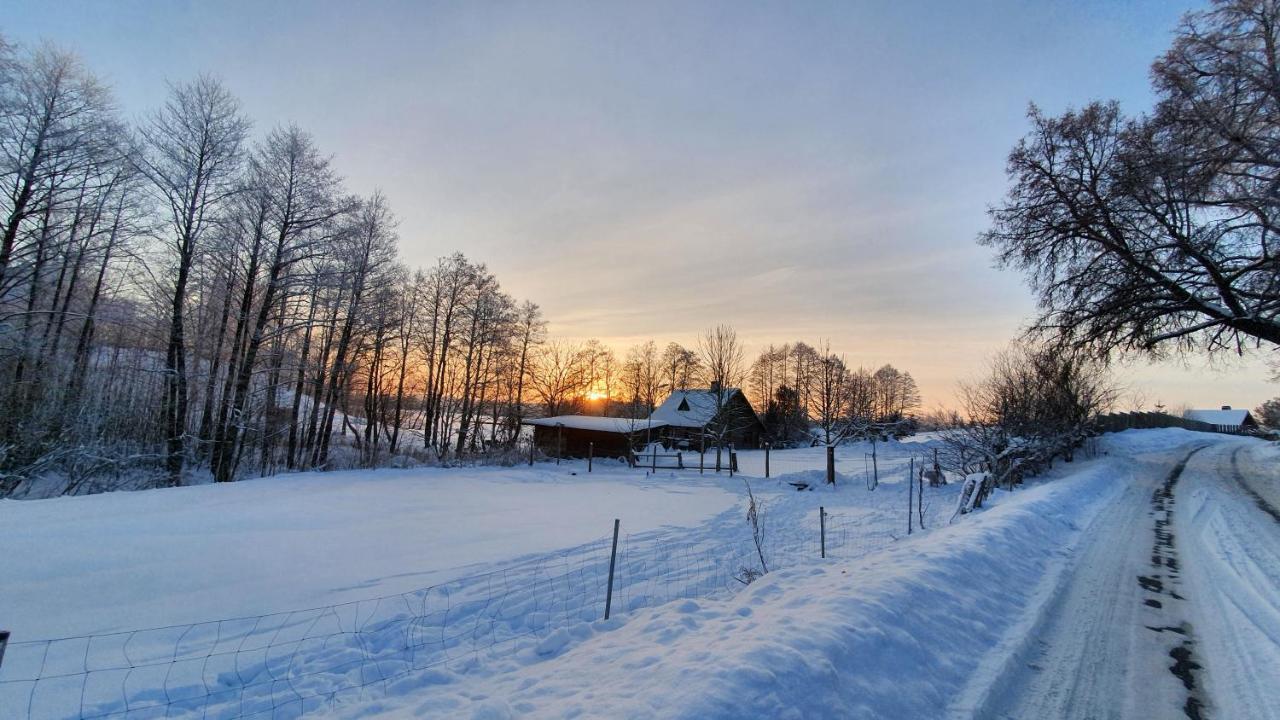 Sunny Beaver B&B Тракай Екстер'єр фото
